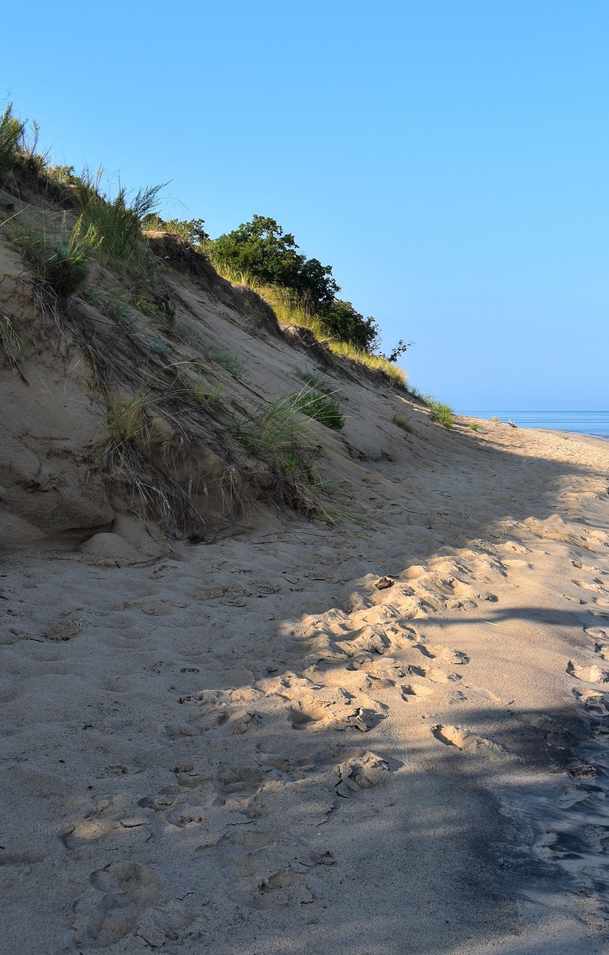 Choosing Among the Park's Nine Beaches, Indiana Dunes National Park