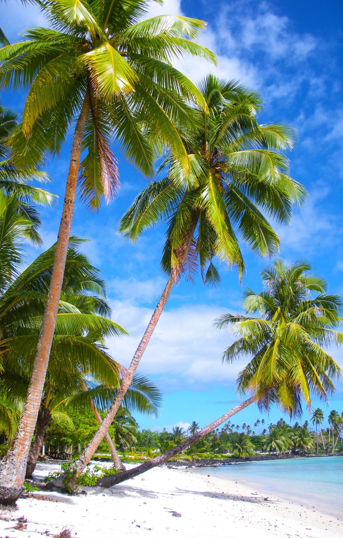 Reaching Ofu and Ta‘ū by Plane and Boat, National Park of American Samoa