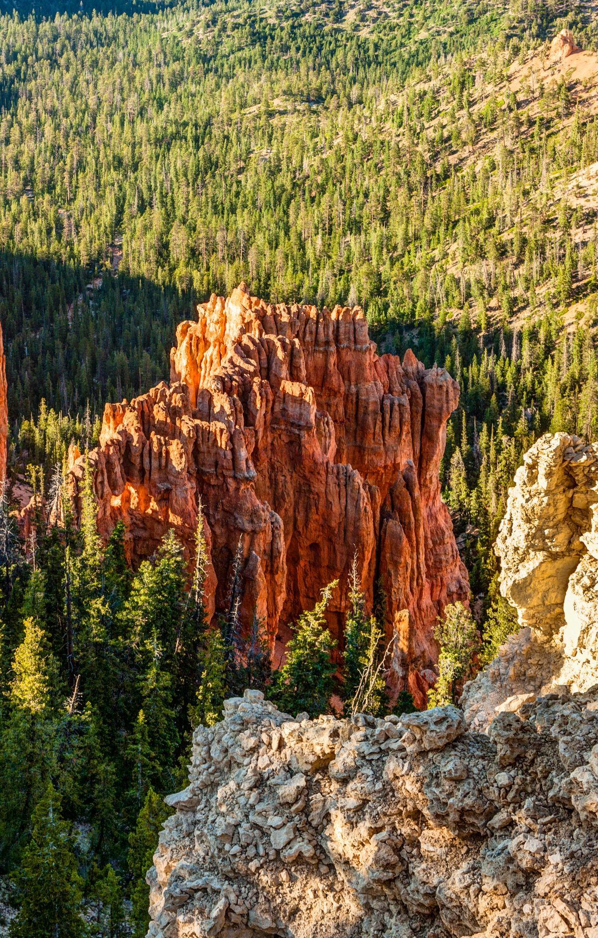 Driving the Southern Scenic Drive to Rainbow Point, Bryce Canyon National Park