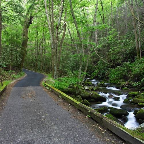 Roaring Fork