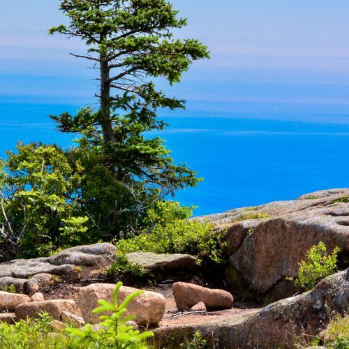 Cadillac South Ridge Trail
