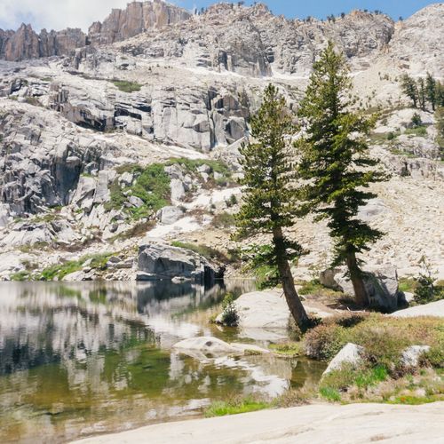 Jennie Lake Trail