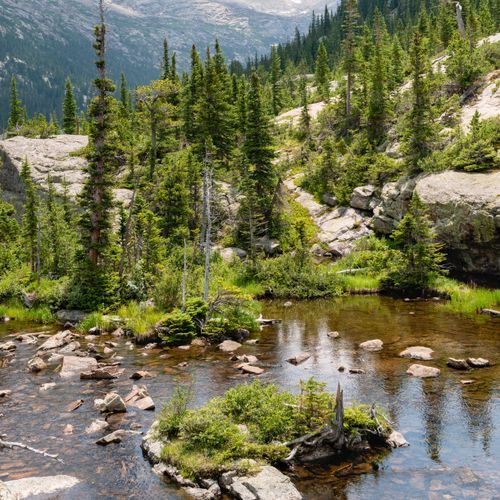 Black Lake Trail