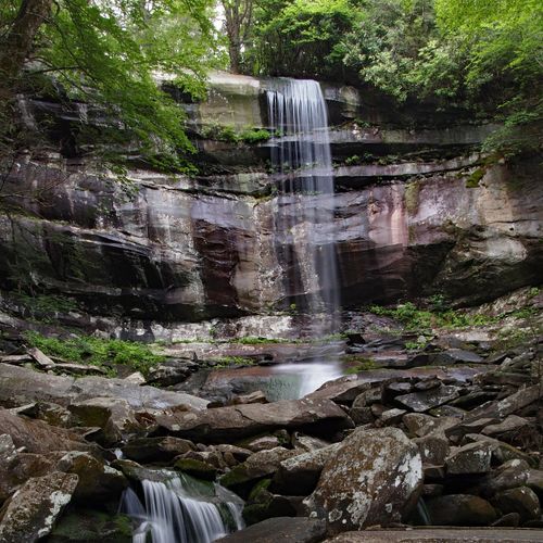 Bone Valley Trail
