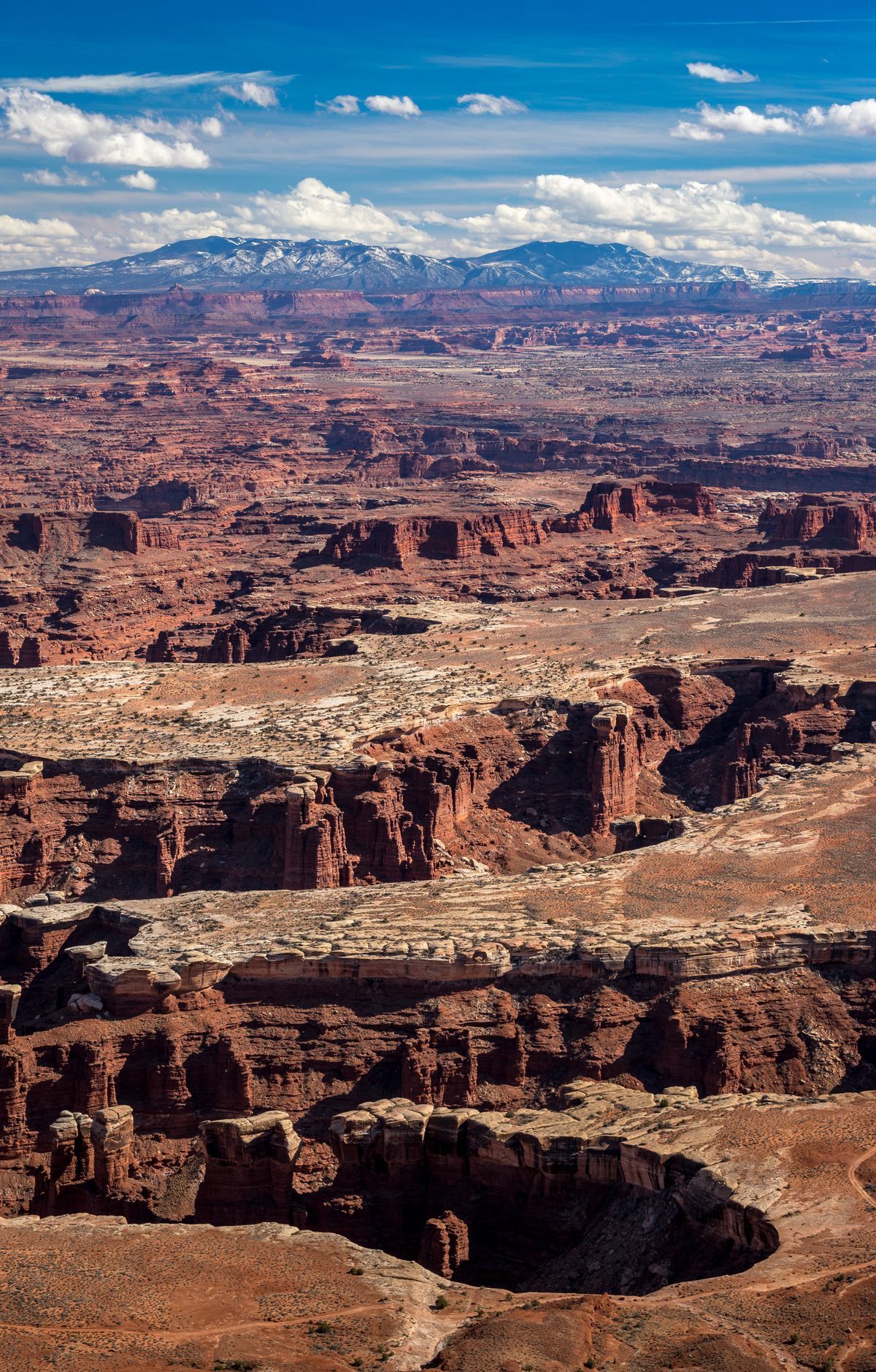 Cave Spring Trail, Canyonlands National Park