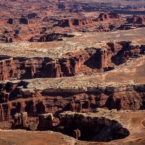 Cave Spring Trail