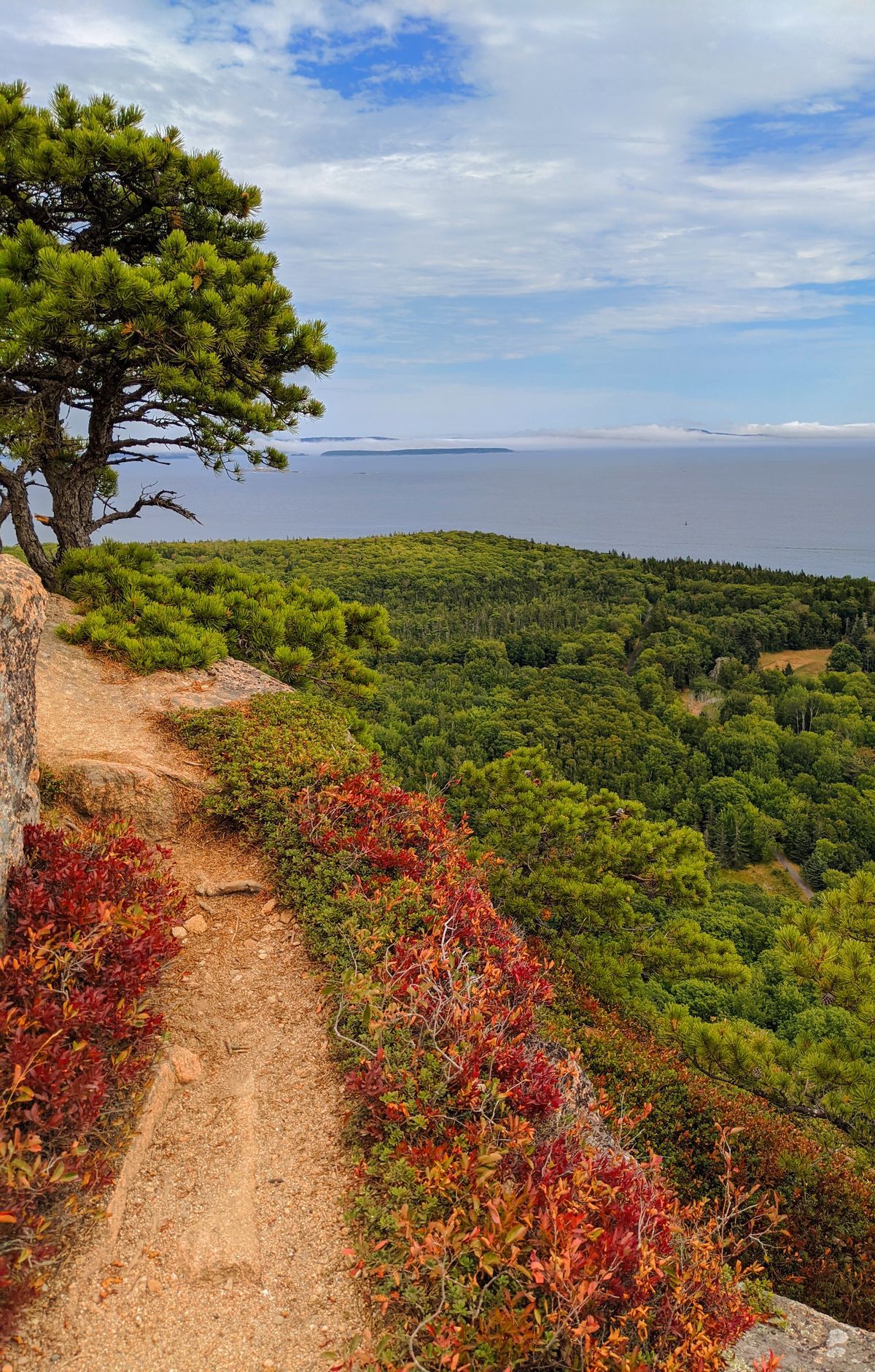 Beech Mountain Loop Trail, Acadia National Park