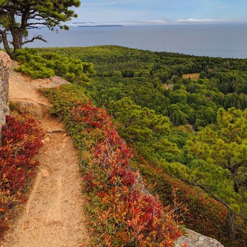 Beech Mountain Loop Trail