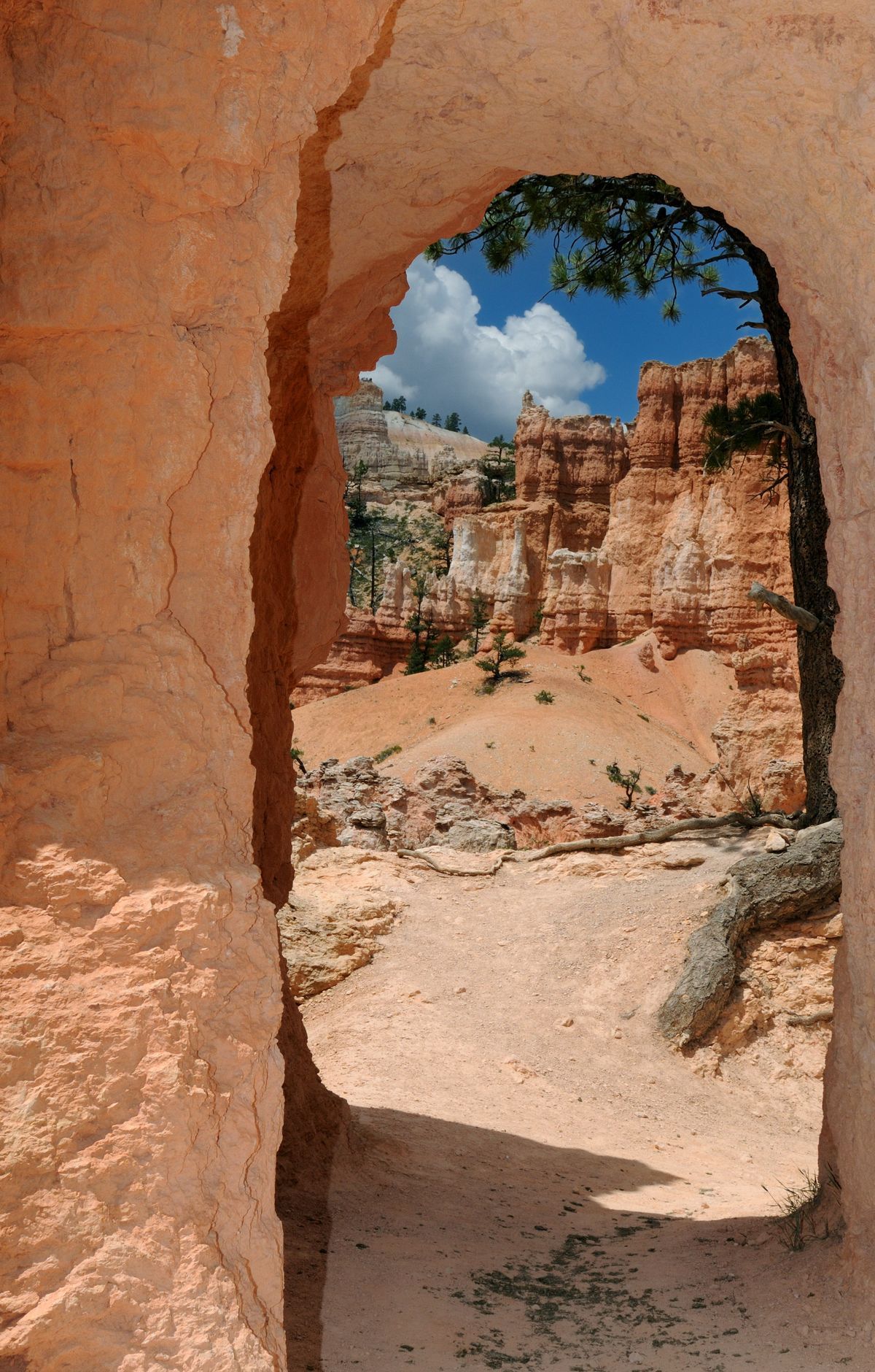 Rim Trail, Bryce Canyon National Park