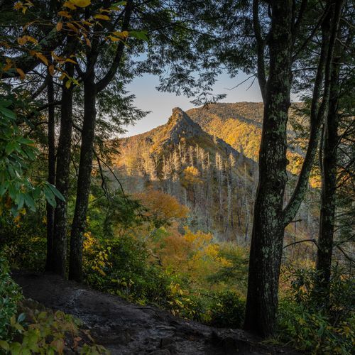 Chestnut Top Trail