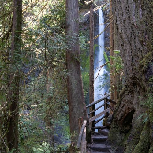 Marymere Falls Trail