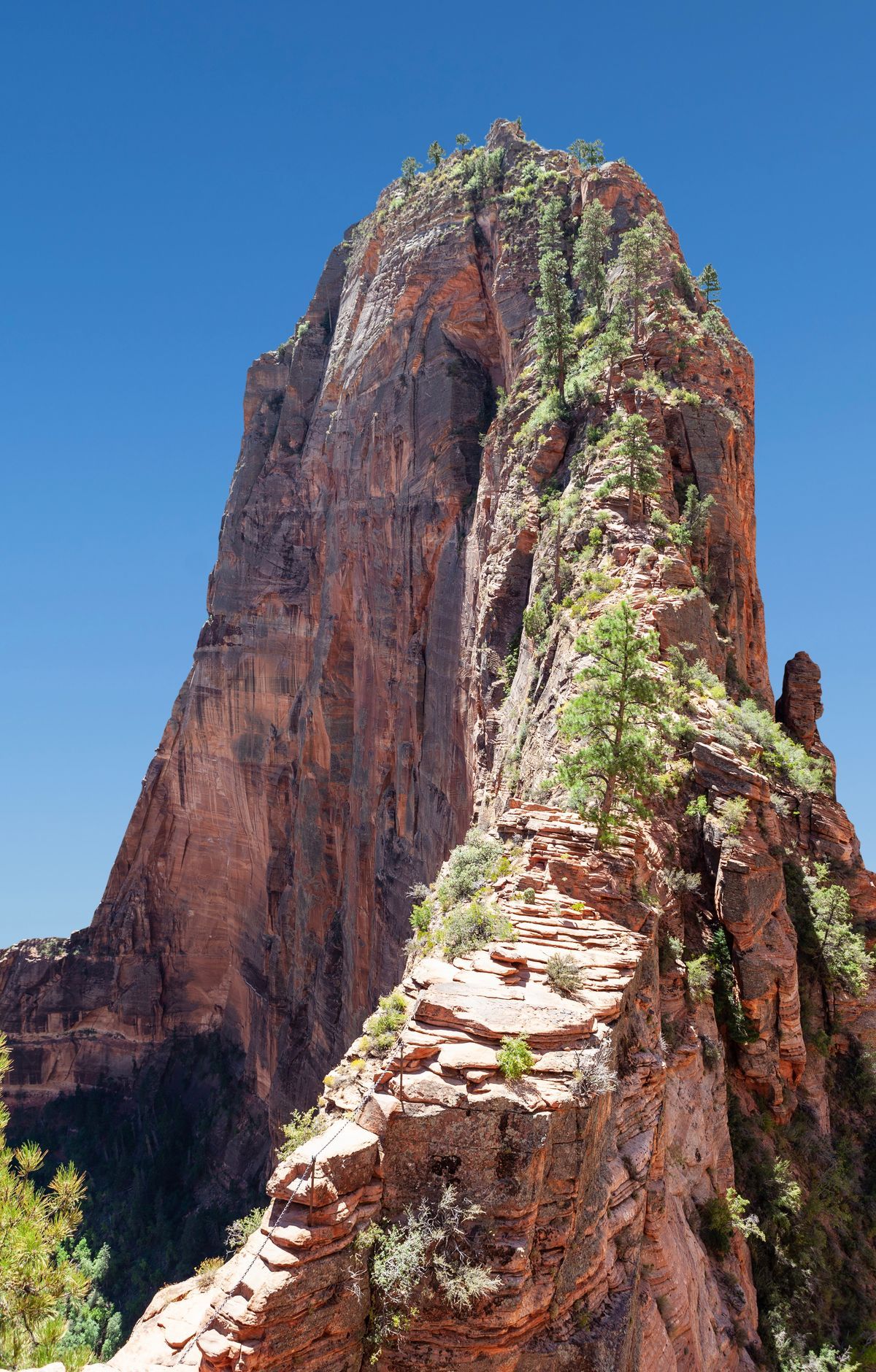Angels Landing and Scout Lookout, Zion National Park