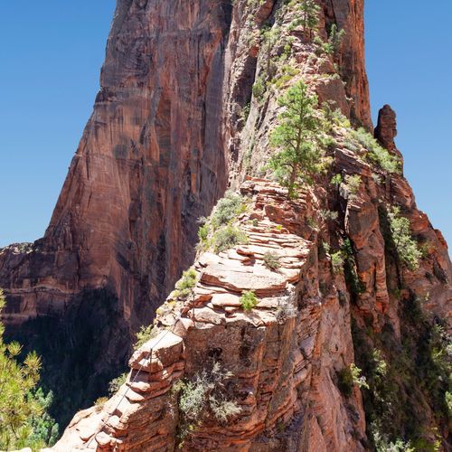 Angels Landing Trail