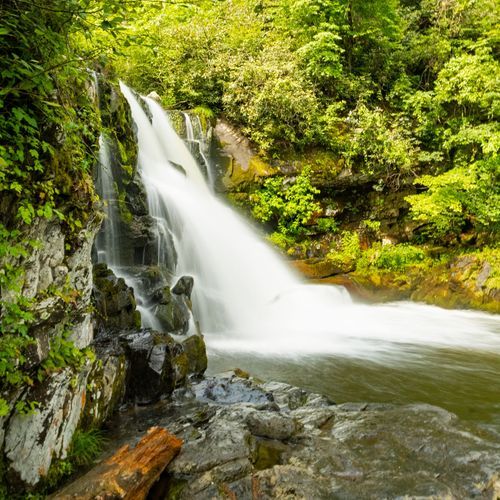 Juney Whank Falls Trail