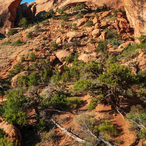 Courthouse Wash Trail