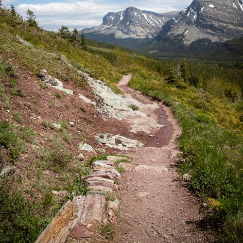 Cracker Lake Trail