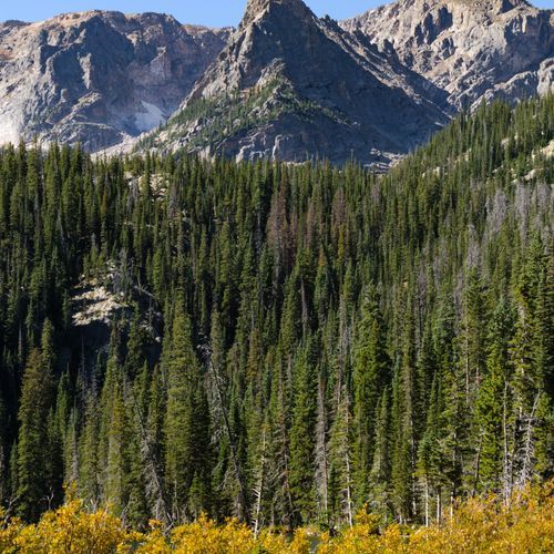 Finch Lake - Pear Lake Trail