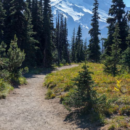 Burroughs Mountain Loop