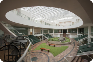 Universidad de las Americas, Colonia Roma Norte