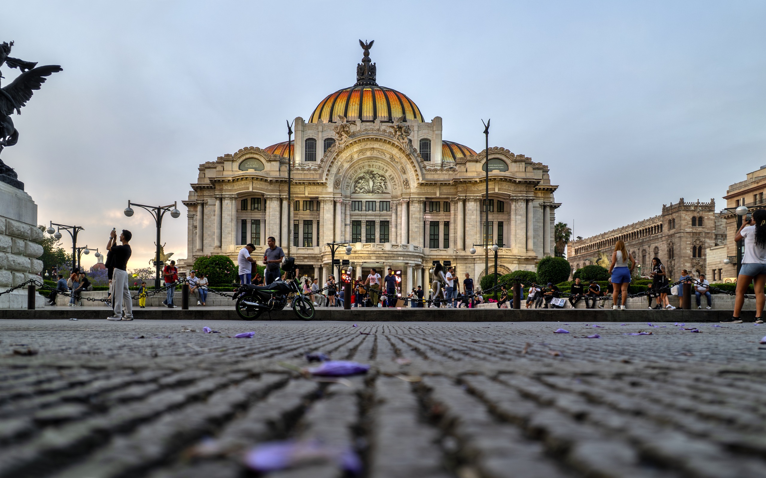 Bellas Artes