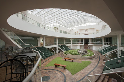 Universidad de Las Américas	