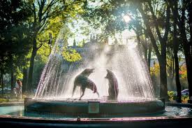 Jardín Centenario | Fuente de los coyotes - Centro de Coyoacan