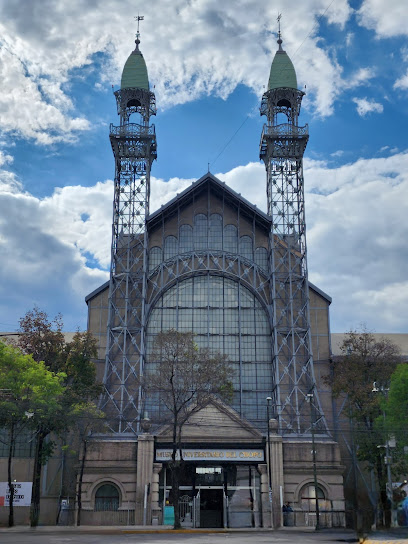 Museo Universitario del Chopo
