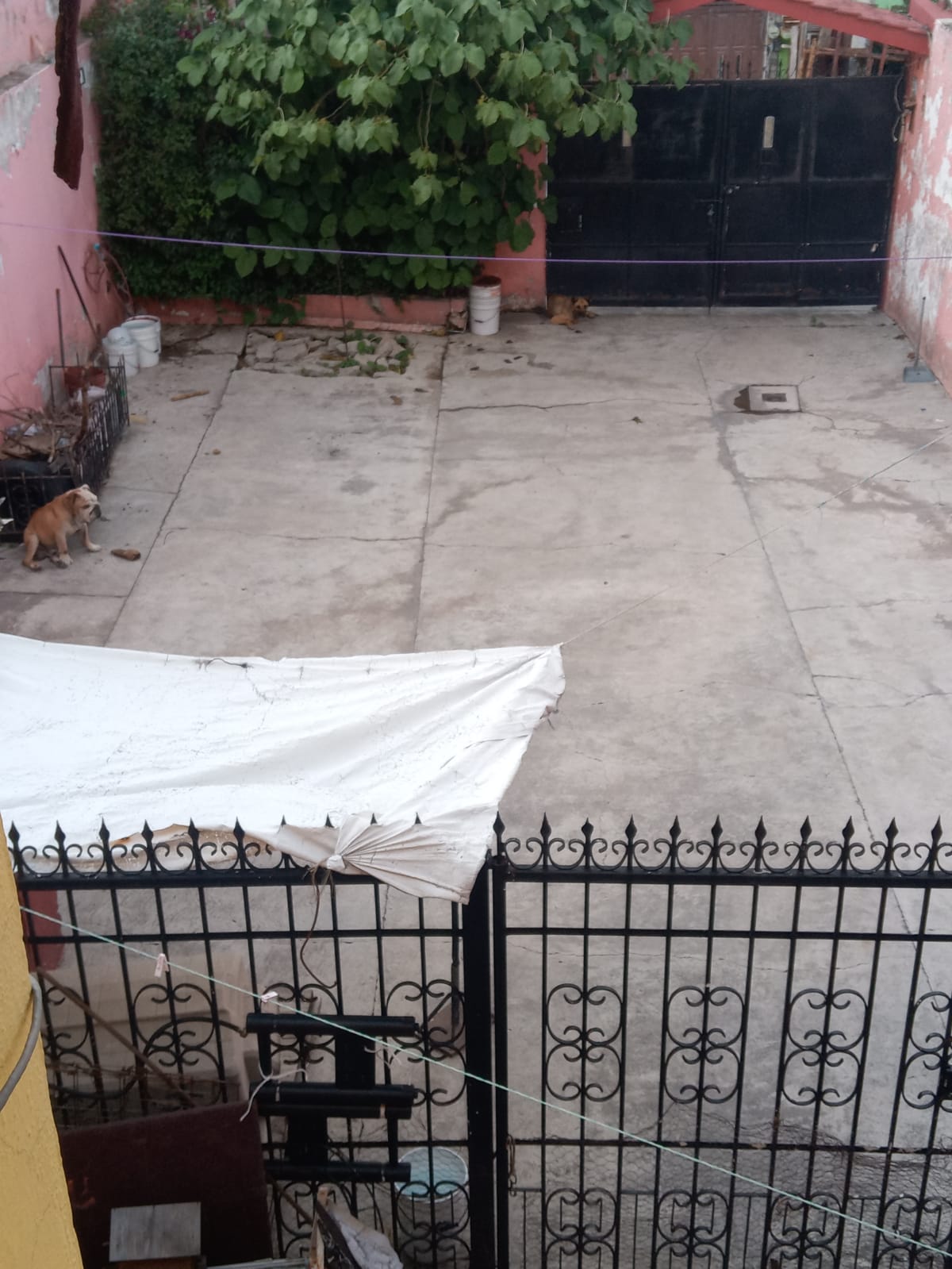 Imagen del estacionamiento 1