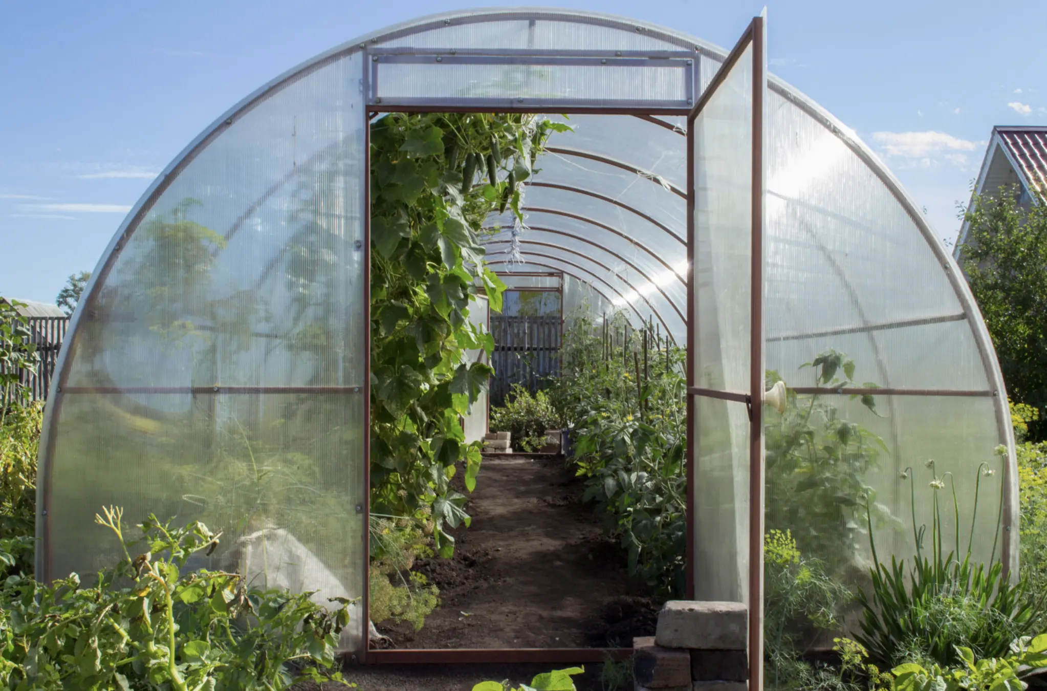 Greenhouse