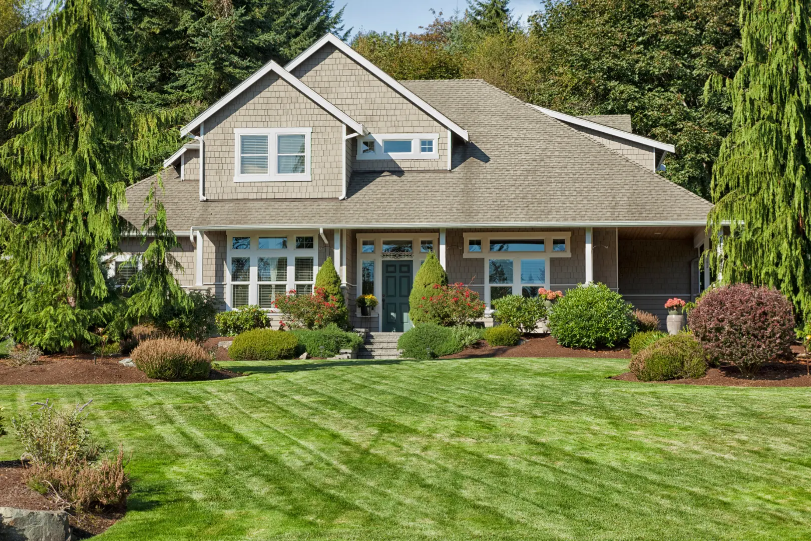 Lawn