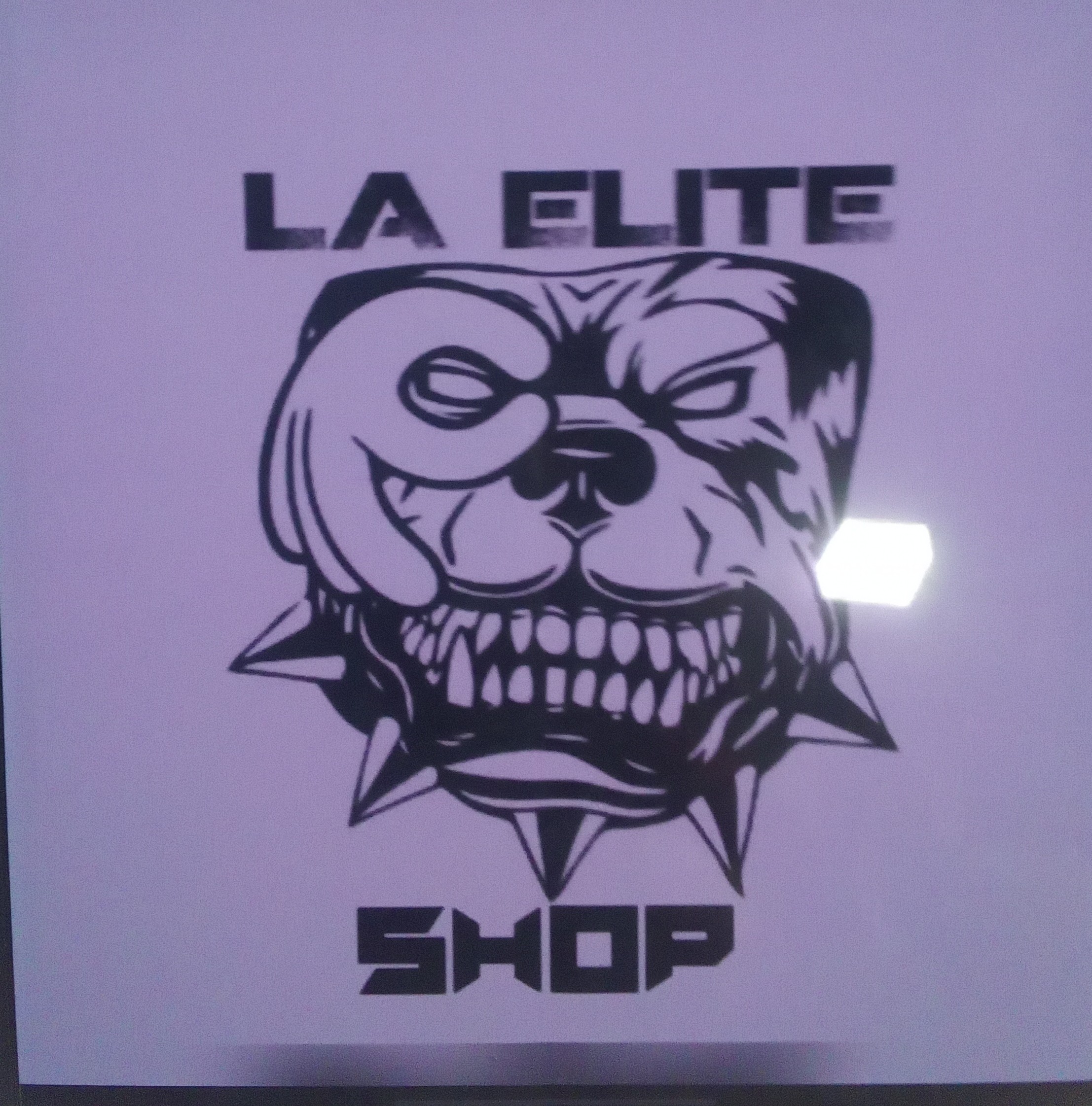 Logo LA ELITE RACING 