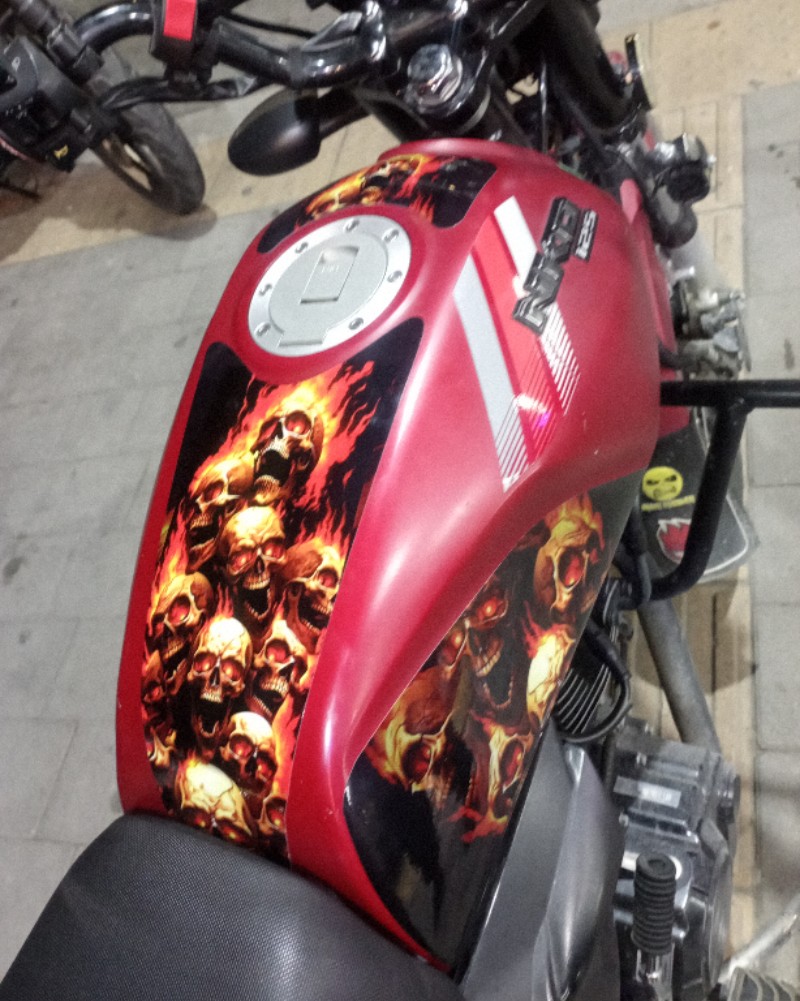 PROTECCIÓN DE RALLONES