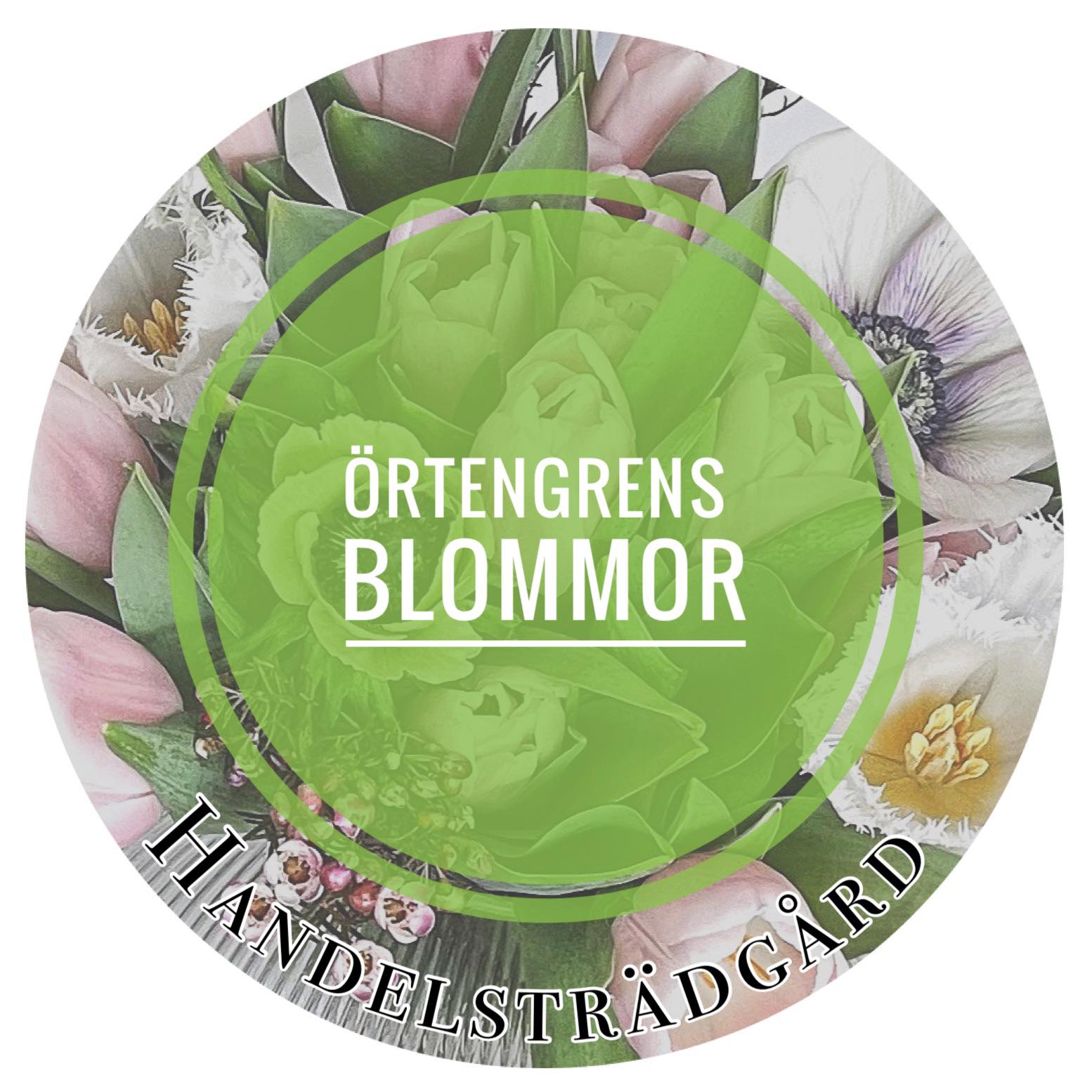 Kenth Örtengren Blommor