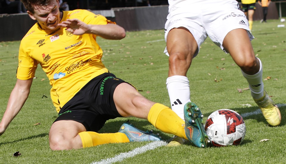 Patrikstestareföretag