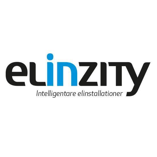 Elinzity