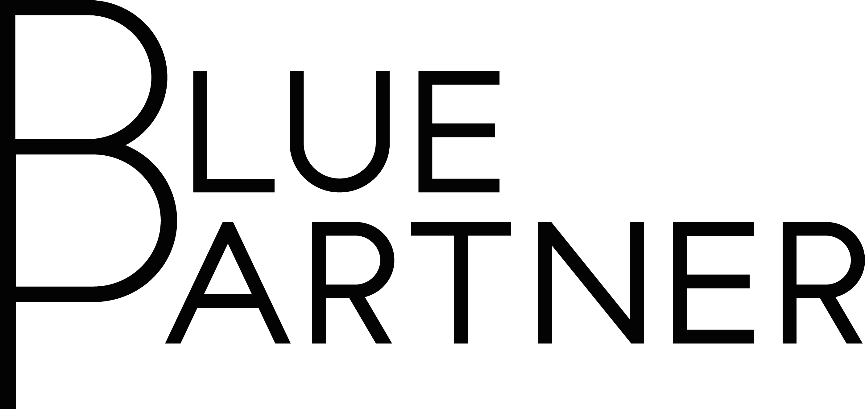 Blue Partner