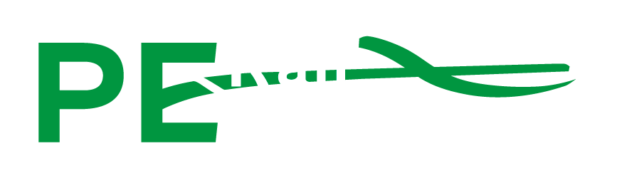PE Rail Consullting