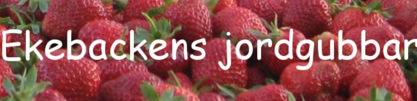 Ekebackens Jordgubbar