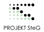 Projektsteg