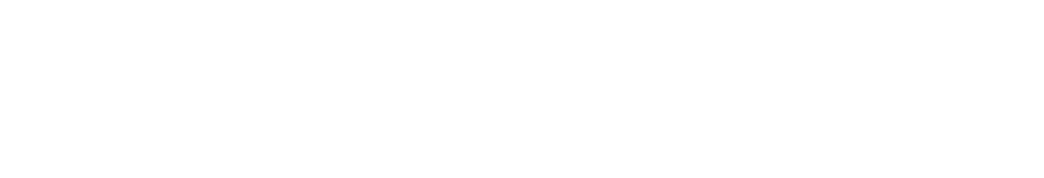 Solidsport