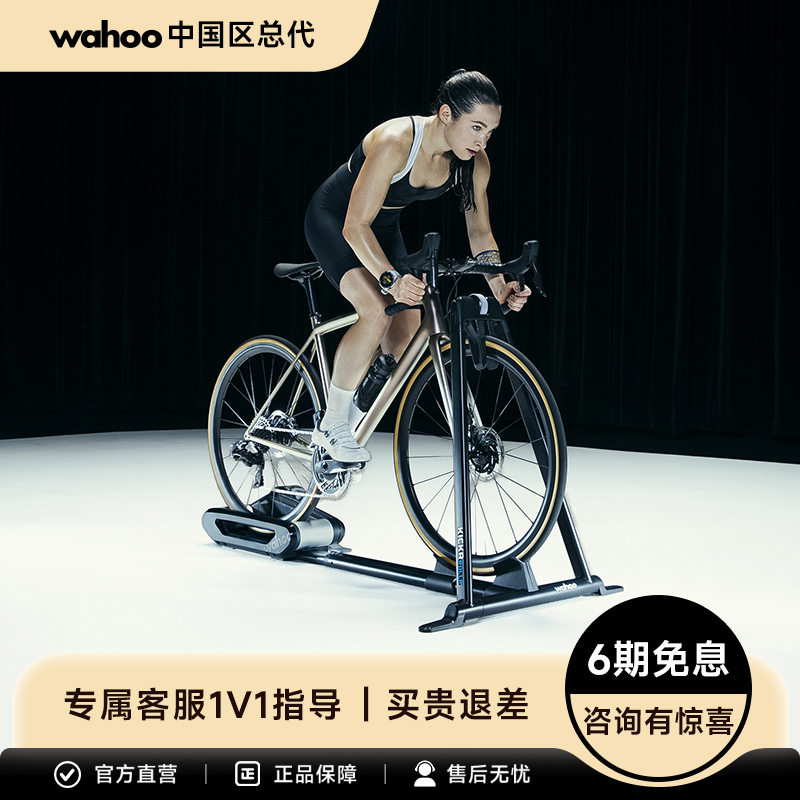 중국어 버전 Wahoo KICKR ROLLR 스마트 듀얼 롤러 트레이너Zwift - 뒷바퀴 분리 불필요 제품 이미지