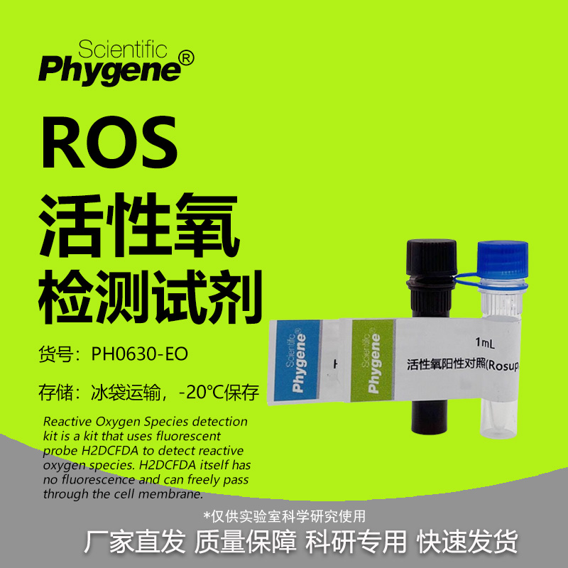 ROS 반응성 산소 검출 키트 H2DCFH-DA 프로브 1000T PH0630-EO PHYGENE 제품 이미지
