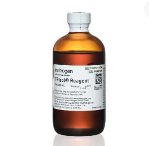신제품 TRIzol 시약 열 15596026CN 100ml 15596018CN 200ml 제품 이미지