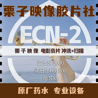 Chestnut Images ECN2 컬러 필름 롤 현상 스캐닝 네거티브 135120 Hasselblad X5 제품 이미지