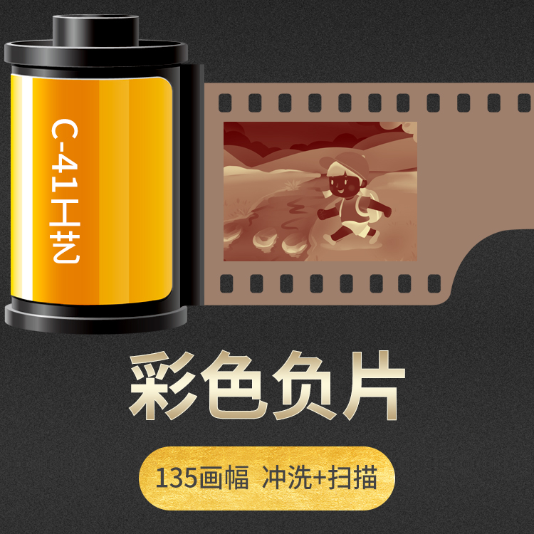 스프링라이트필름사 135포맷 120포맷 필름 컬러네거티브 C41 현상 및 스캐닝. 제품 이미지