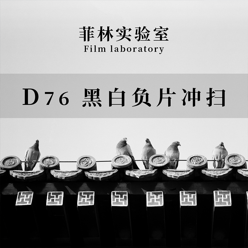 필름랩 D76 흑백 네거티브 필름 현상 135 amp 120 및 스캐닝 제품 이미지