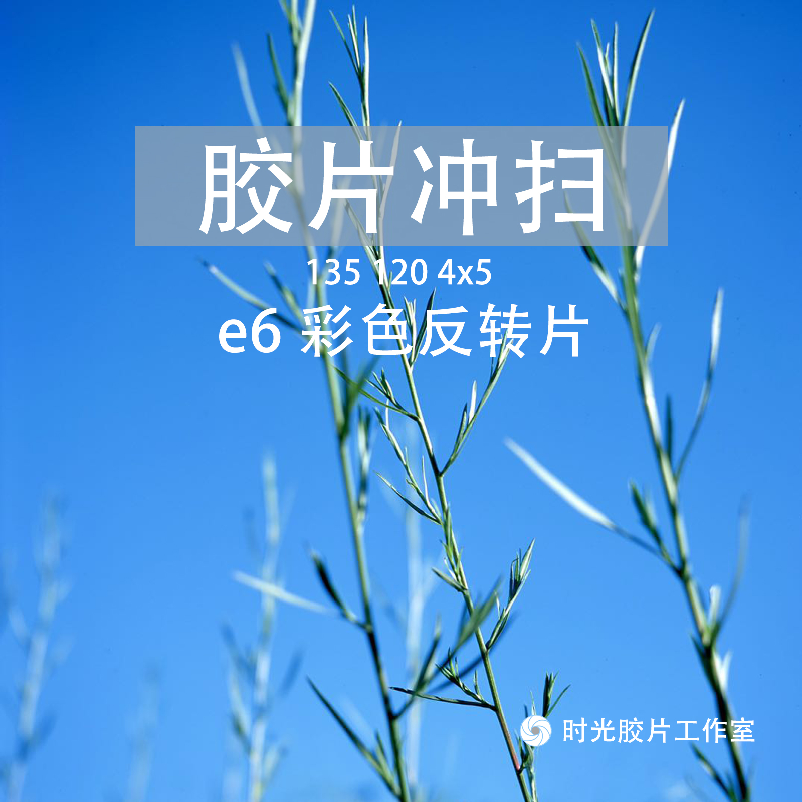 타임스튜디오 E6 컬러리버설필름 포지티브필름 현상 및 스캐닝 RDP RVP E100 필름 제품 이미지