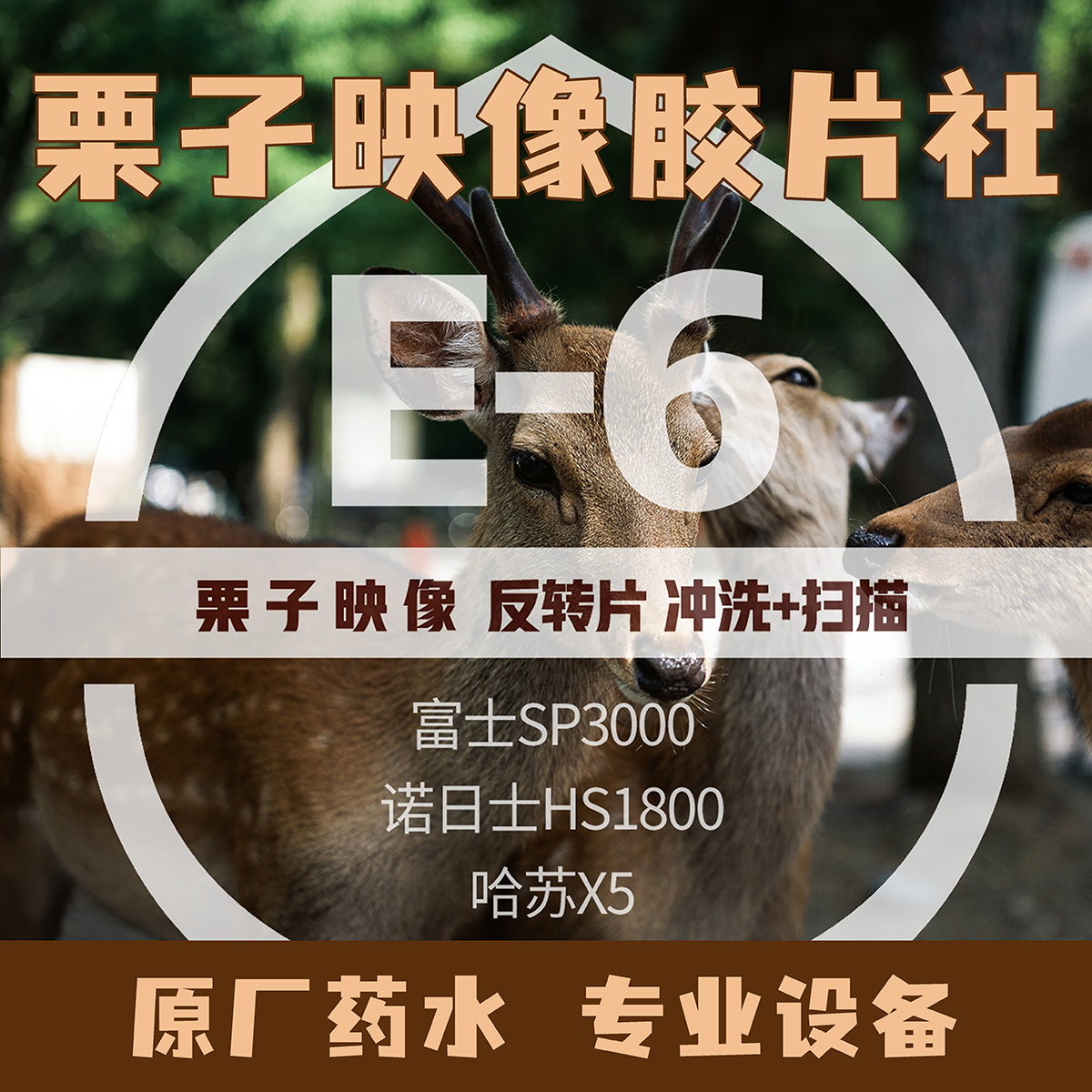 Chestnut Images 리버설 필름 현상 포지티브 E6 Hasselblad X5 스캐닝 슬라이드쇼 제품 이미지