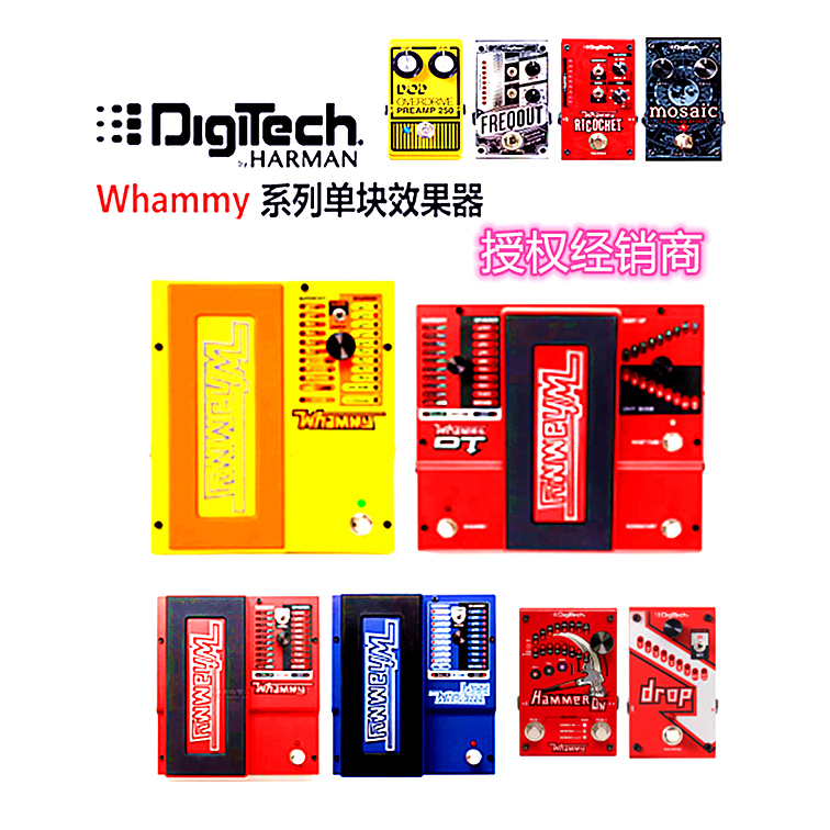 Digettech Drop Whammy Frieze DT V5 옥타브 쉬프트 페달 이펙트 제품 이미지