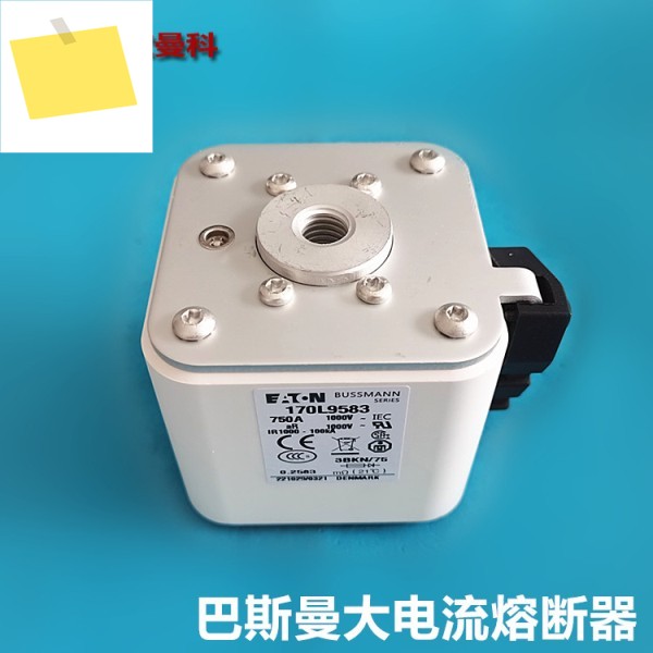 바스만 보험 퓨즈 170L9583170M3020NH3UD69V900PV170M3023 제품 이미지